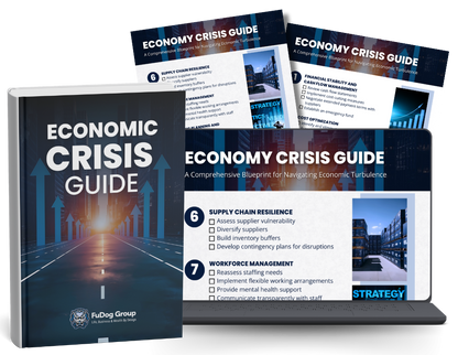 Economic Crisis Guide